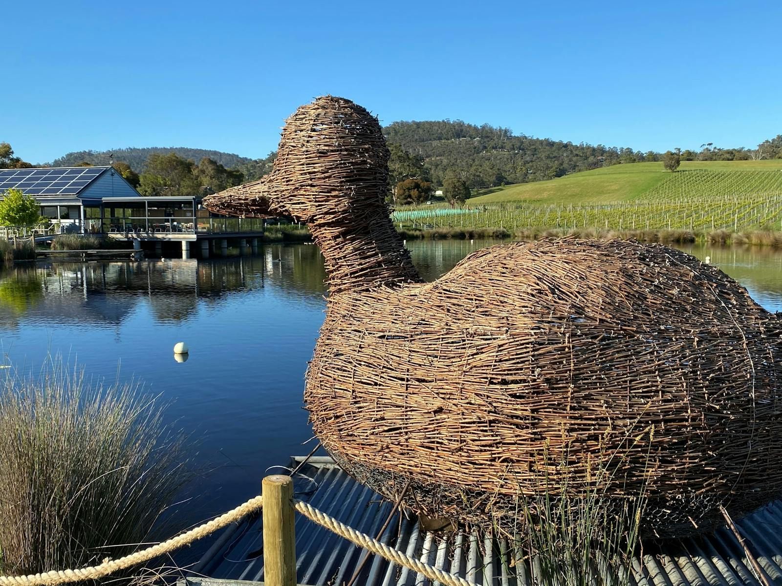 Puddleduck Vineyard: Family, Fun, and Fabulous Tasmanian Wines